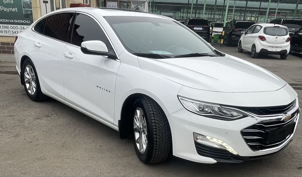 Malibu Premier 2022/Малибу Премьер 2022