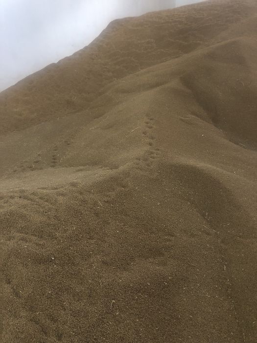 Grau de vanzare glosa