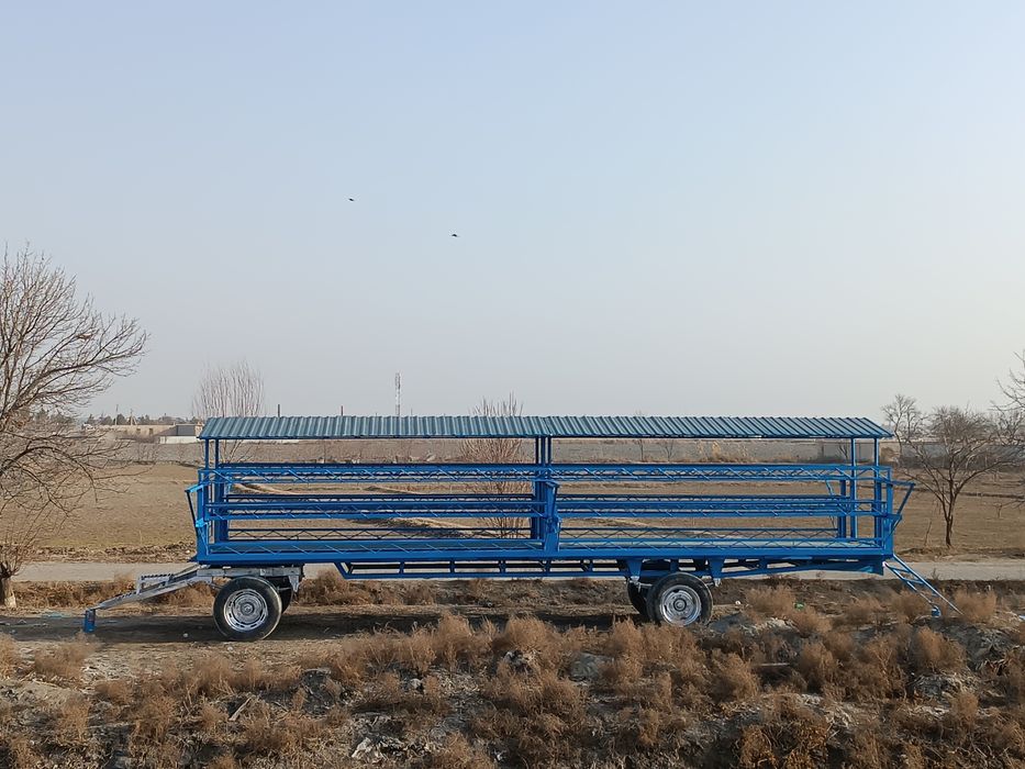 Asalari prsep sotiladi.