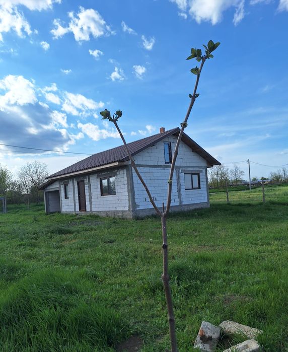 Casă + teren 1000 mp în Istria – vedere la lac