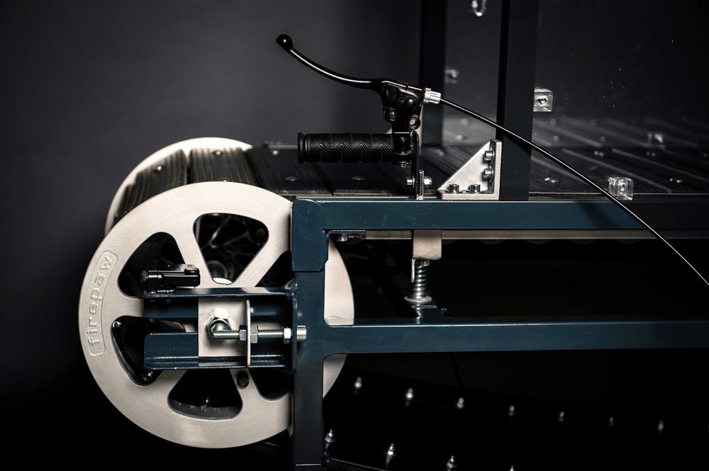 Бягаща пътека за кучета Firepaw - модел Phoenix M