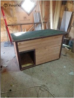 Будка для собаки