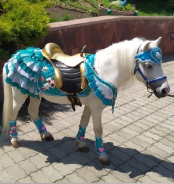 Продается Белая Пони с оолубыми глазами