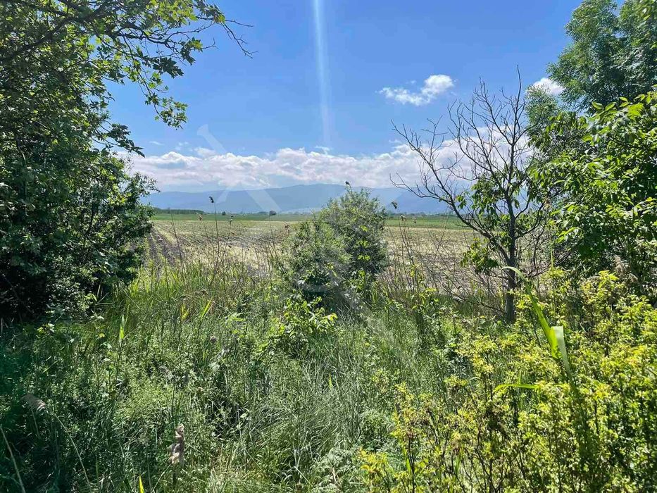 Земеделска земя в с. Ягодово! 59986