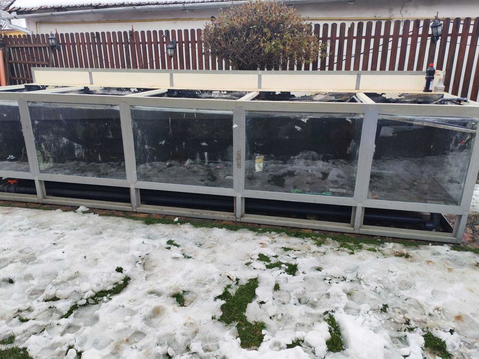 Stand de pastrarea si  vinzarea pestelui viu