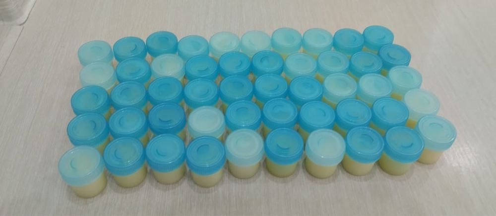 Қаздын майы(  Гусинный жир)