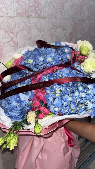Гортензия гүлі прям әдемі көрінеді