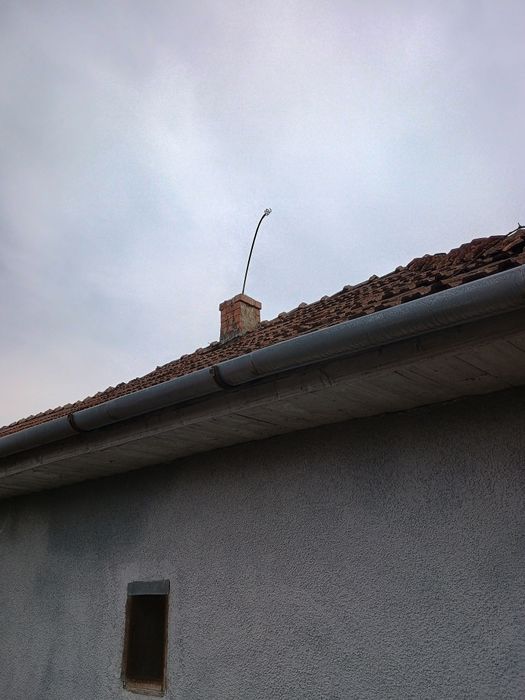 Cosar hornar autorizat ASCF