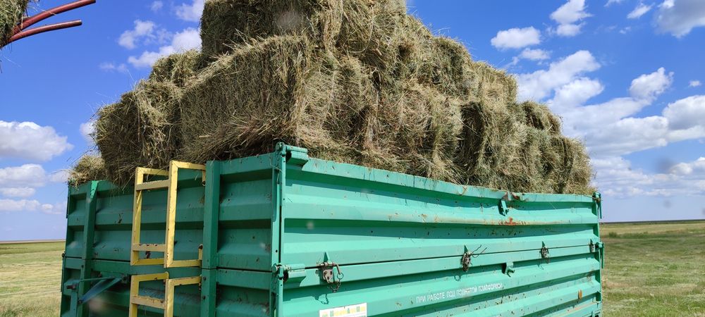 Сено разнотравие, суданка, донник