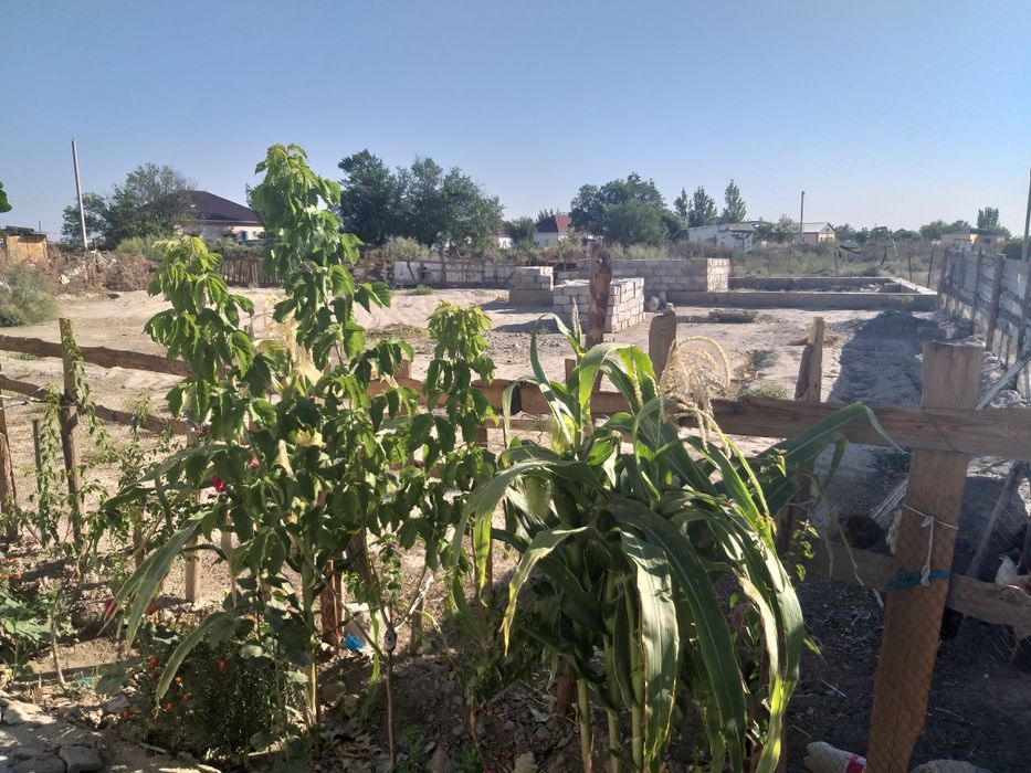 Продается дом в сабалаке