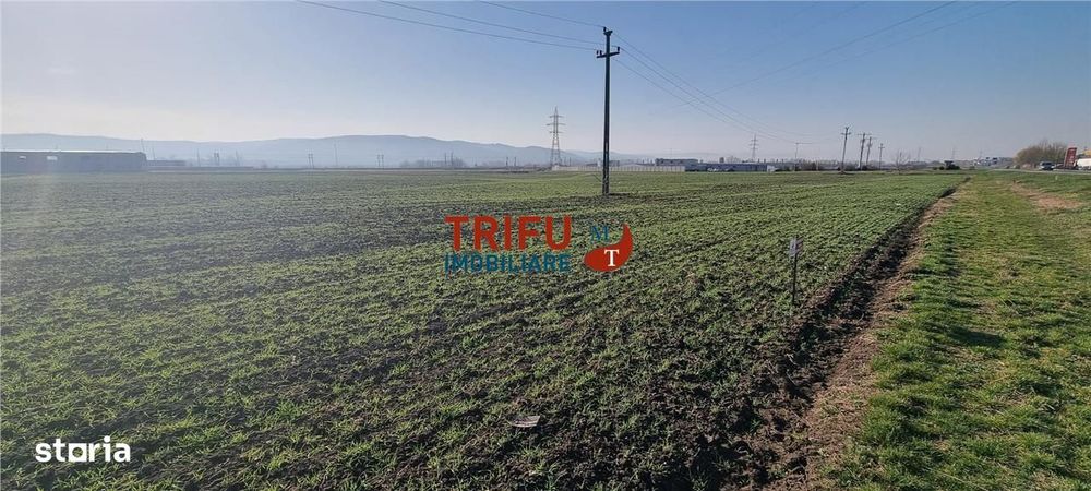 Teren industrial 11600mp la DN1