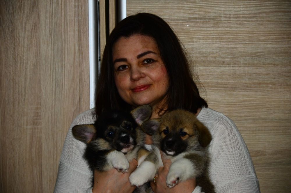 Caut să închiriez o casă la marginea Bucureștiului.