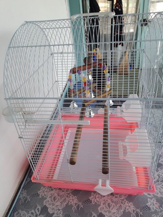 Colivie complet utilata