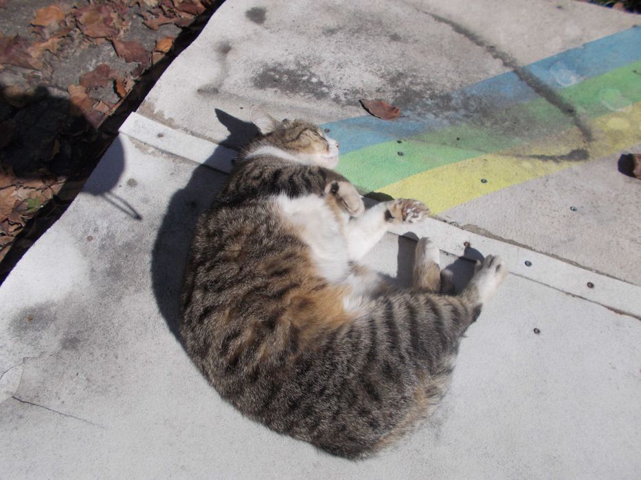 Термостат и радиатор с изпарител - части хладилник