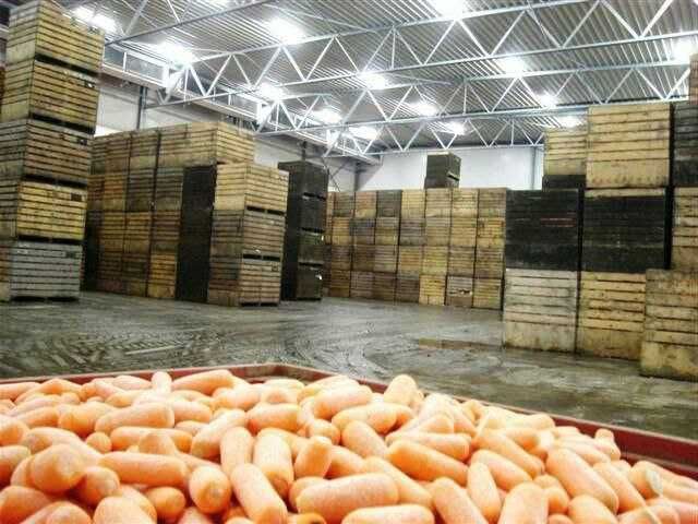 Строительство промышленных Холодильных камер и складов.