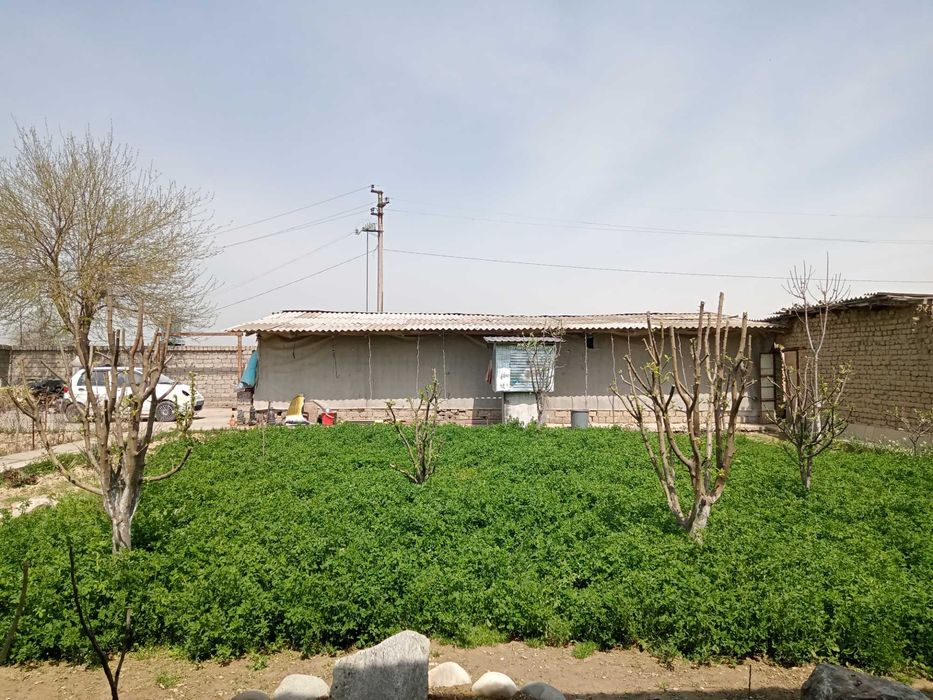 Yu  Дача 14соток, кадастр, 5км от Тойтепы Уртачирчикский р-н