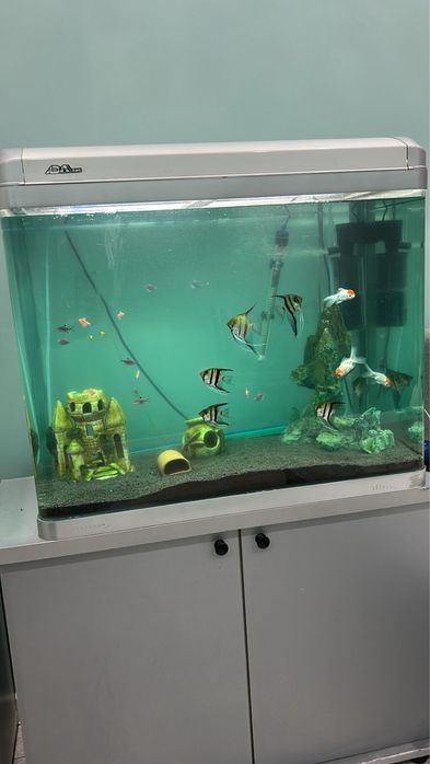 АКВАРИУМ Заводской 180л