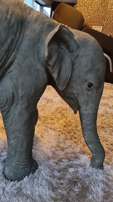 elefant fibra fibra de sticla si compozit