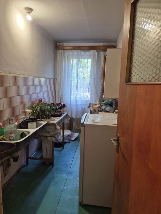 Garsoniera / Teiul Doamnei