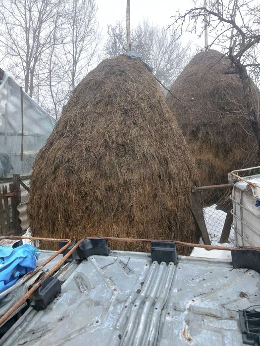 Fan de vânzare producție 2025