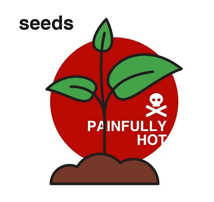 Chocolate Carolina Reaper най-люта чушка в света Гинес Каролина Рипър