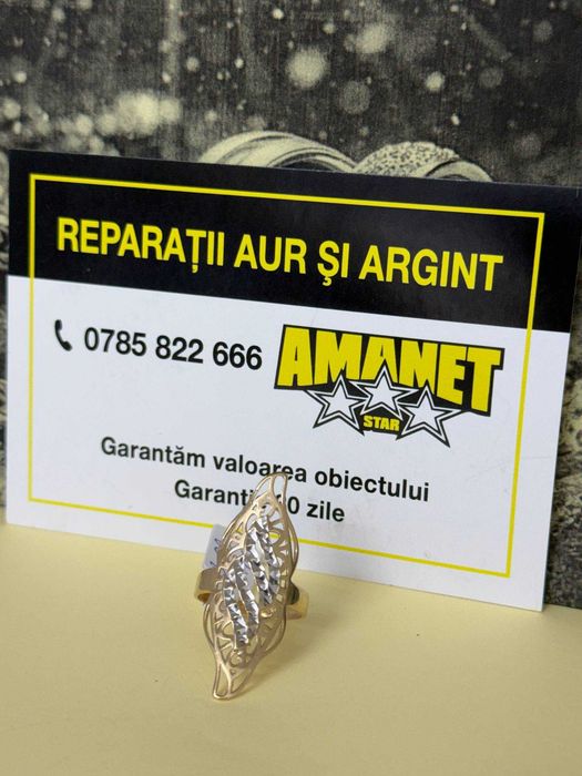 Inel 3.02 gr (m1) staramanet