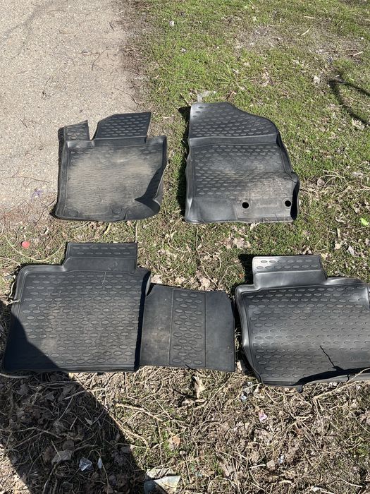 Полики соната оригинал