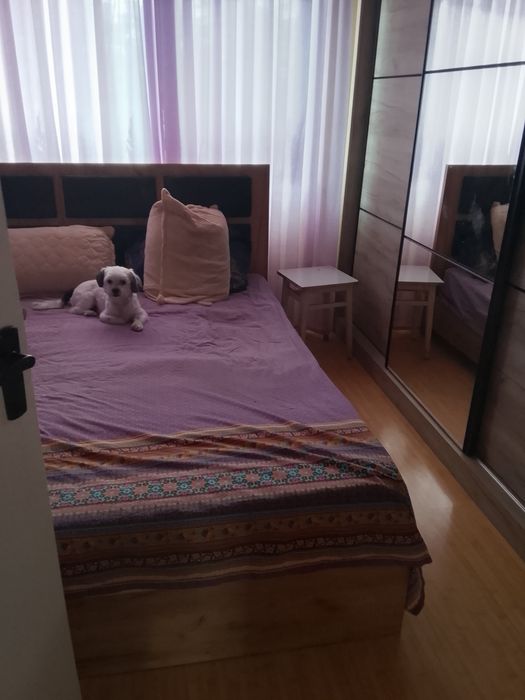 Apartament 3 camere