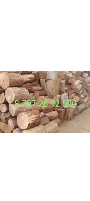 Дрова карагач рубленые !!!