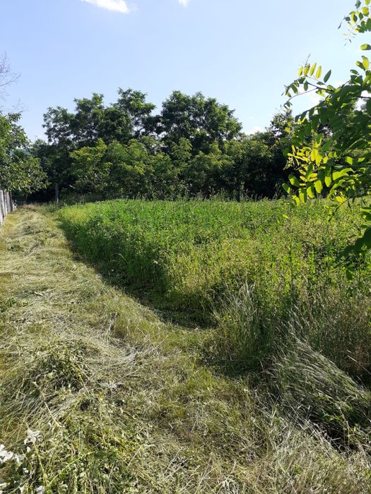 Teren de vanzare, Gazarie, Moinesti