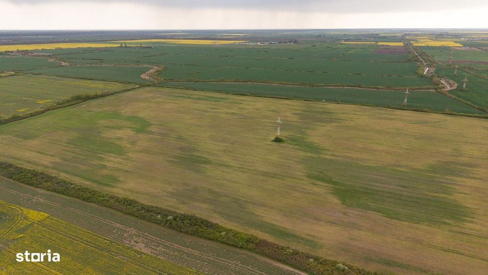 Teren investițional strategic 44.700 mp Arad Vest