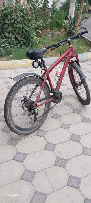 Velik sotiladi razmeri 27