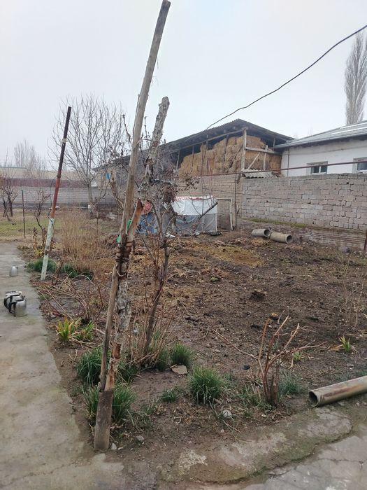 Uchastka sotiladi 4 sotx gaz svet suv bor