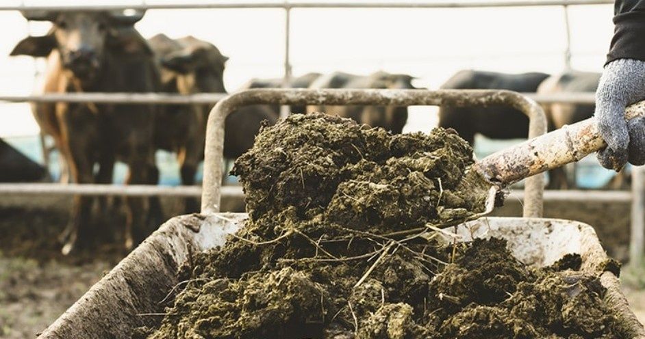 Продам навоз с доставкой.