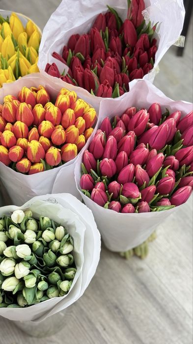 Тюльпаны в розницу