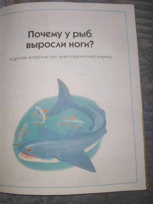 Книга для детей "где что и когда"