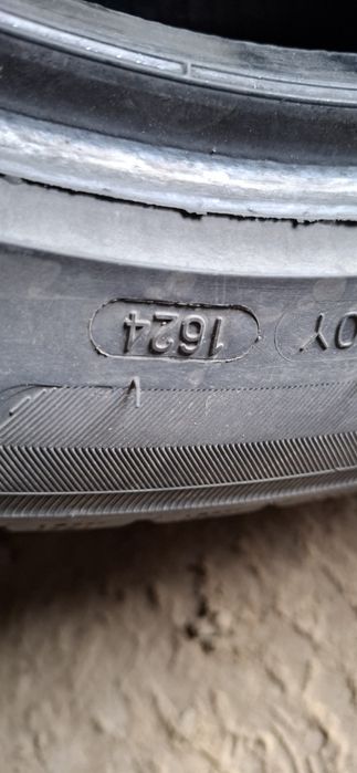 Шины летние. ЗЕКСТУР.