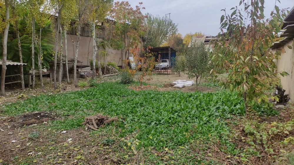 6,5 sotixlik Yer maydoni sotiladi