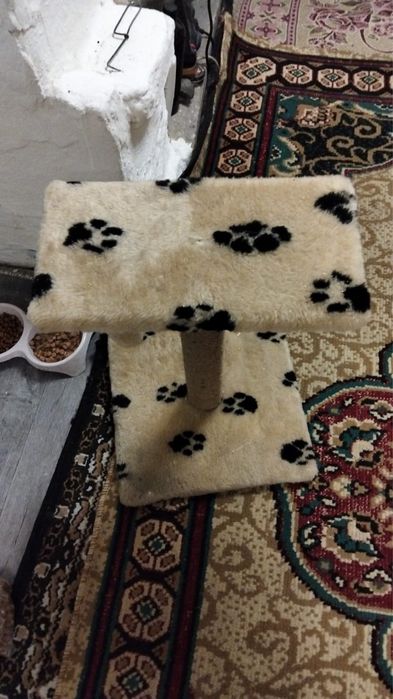 Когтеточка для кошки, в хорошем состоянии