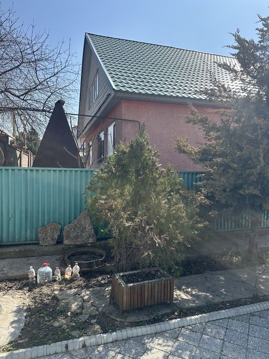 Туя 10000 тенгее