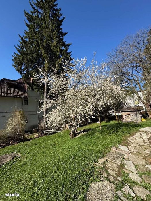Apartament la curte Predeal