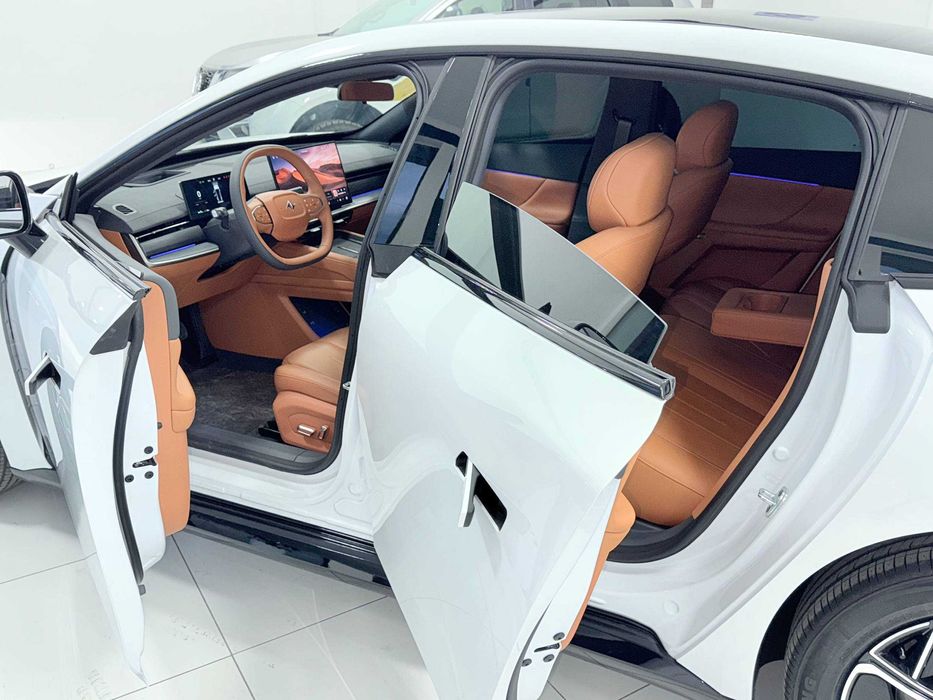 Dongfeng EP 007 (Full Elektr) 200kWt 272HP 620 PRO