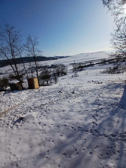 Vand casă drasov Județul Alba