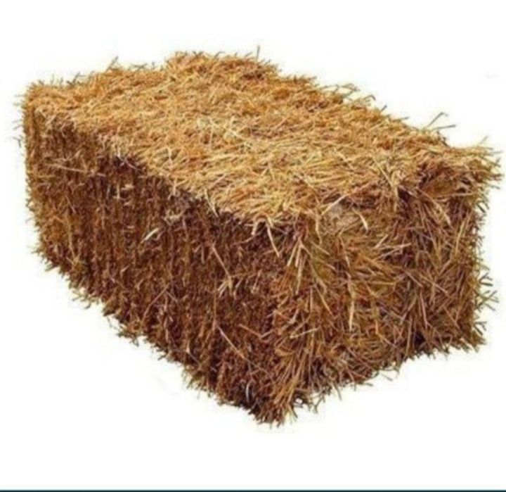 Samon somon press.Beda pres