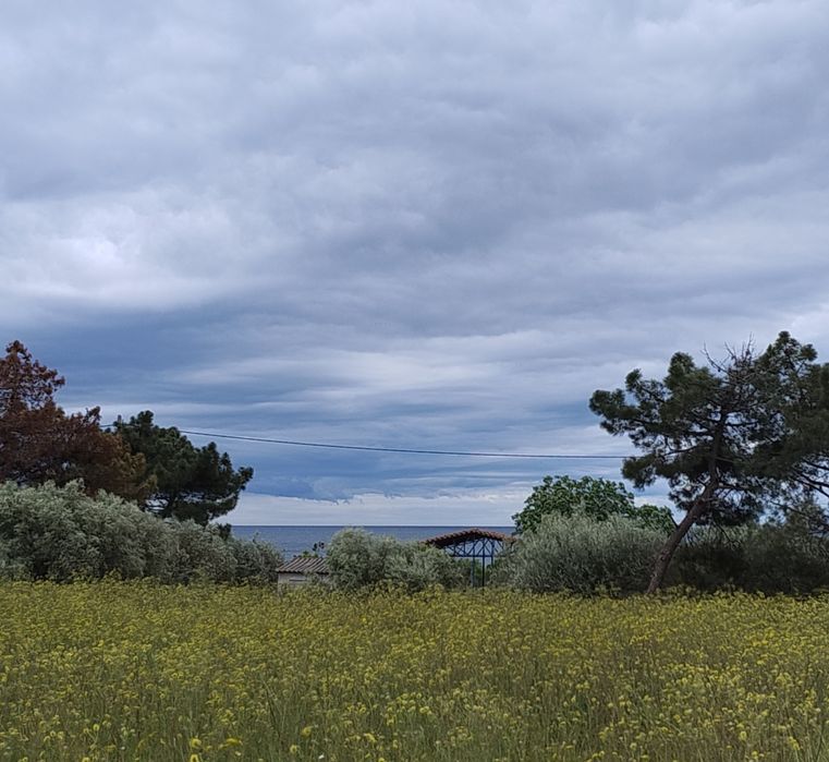 Парцели в Гърция на 350м от  морето ! Гърция Имерос , Родопи