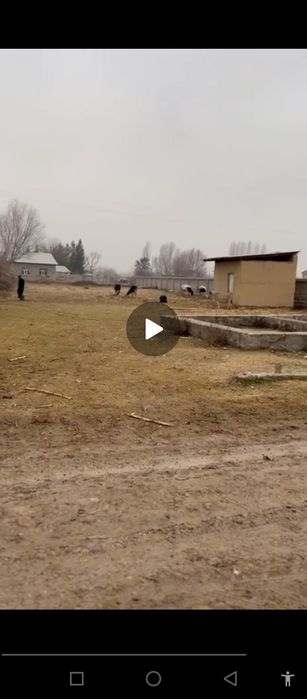 Бектемур Юлдошев