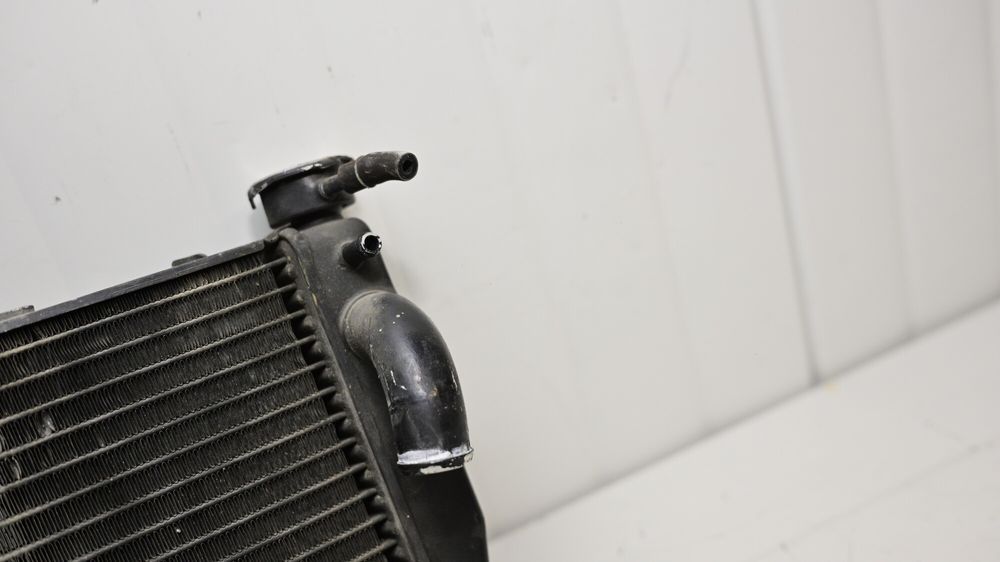 Radiator Apa Honda CBR 929 2000 - 2001