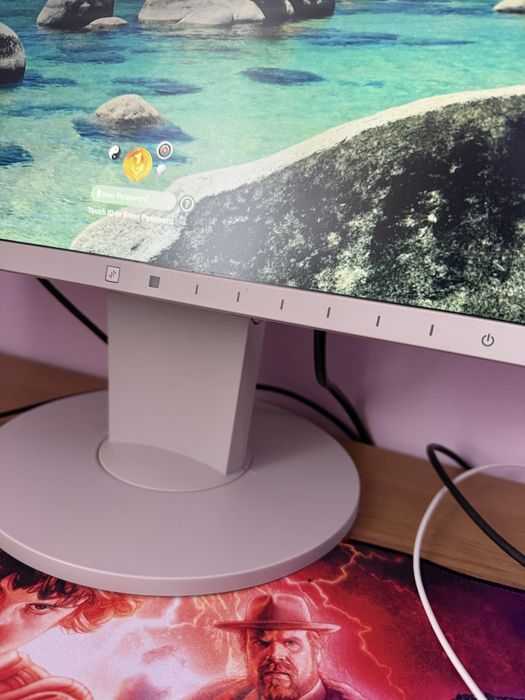 LCD монитор EIZO EV2450