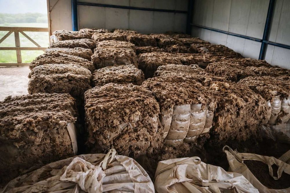 Peleti din lana de oaie – îngrășământ natural