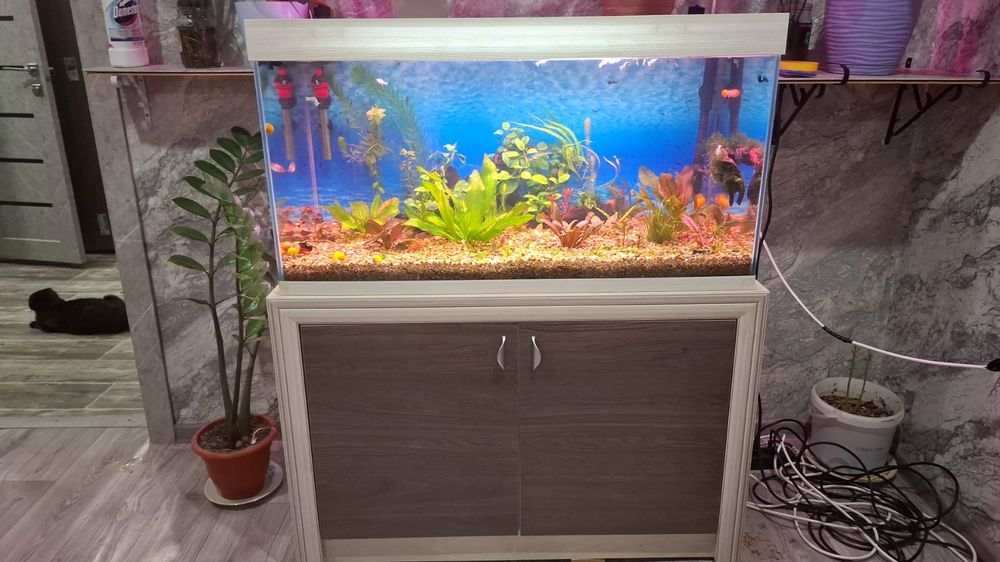Продам аквариум на 200литров